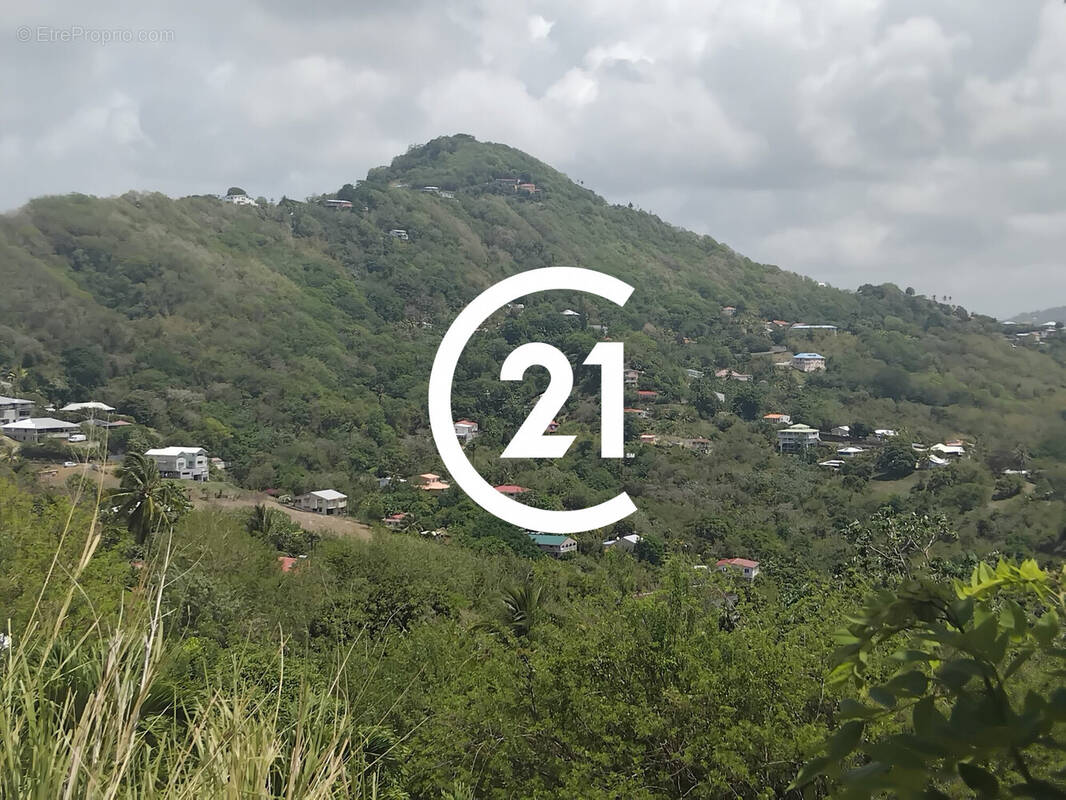 Terrain à LE MARIN