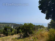 Terrain à SARI-SOLENZARA