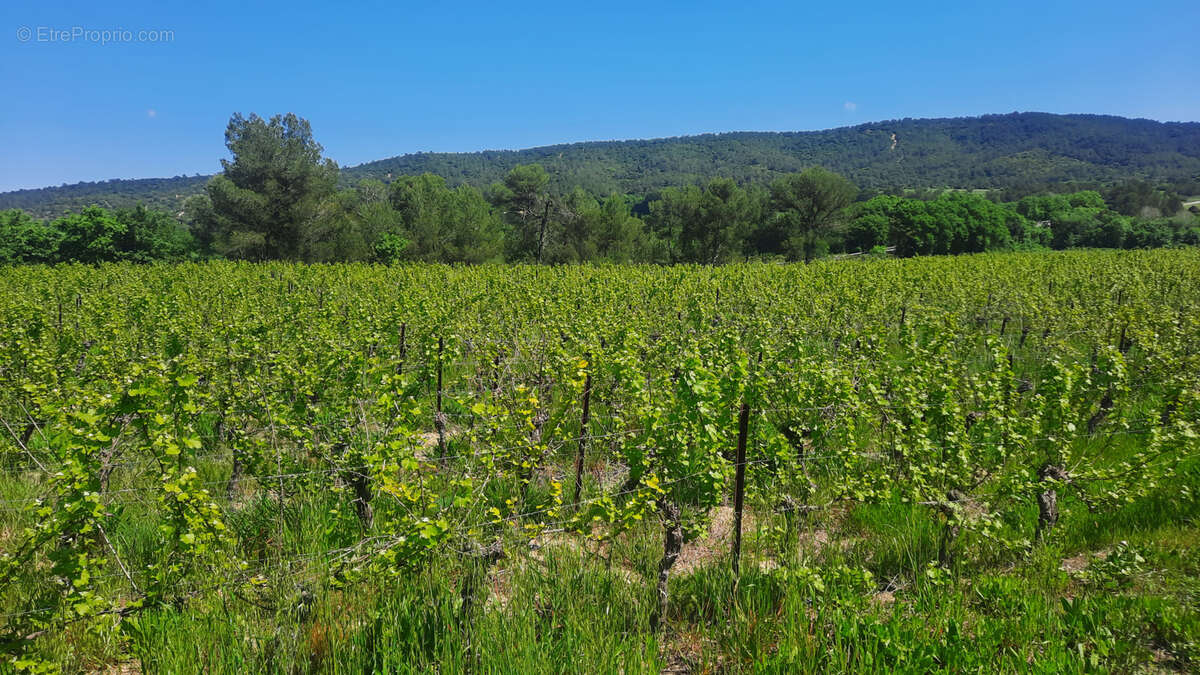 Terrain à CANNES-ET-CLAIRAN