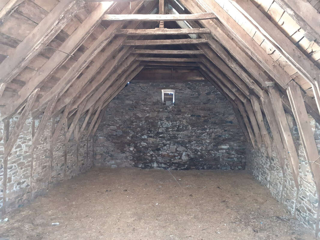 Corps de ferme avec cour et granges sur l'Aubrac - photo 6