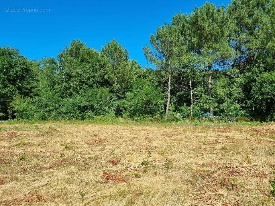 Terrain à SAINT-AUBIN-DE-MEDOC