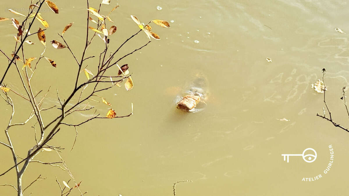 Terrain à NEUNG-SUR-BEUVRON