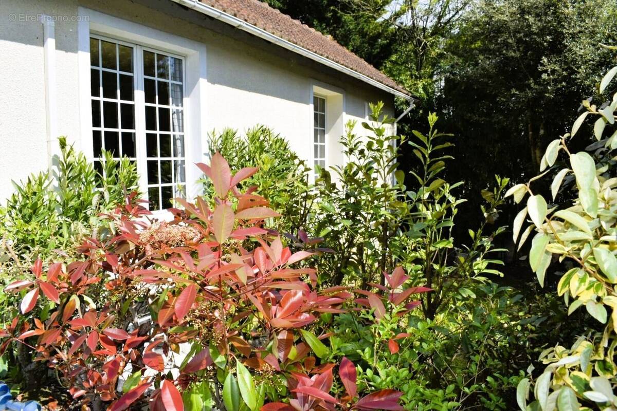 Photo 1 - Maison à CHAMPIGNY-SUR-MARNE