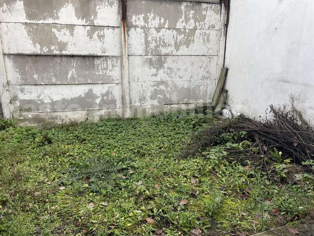 IMG_9367 - Maison à TOURCOING