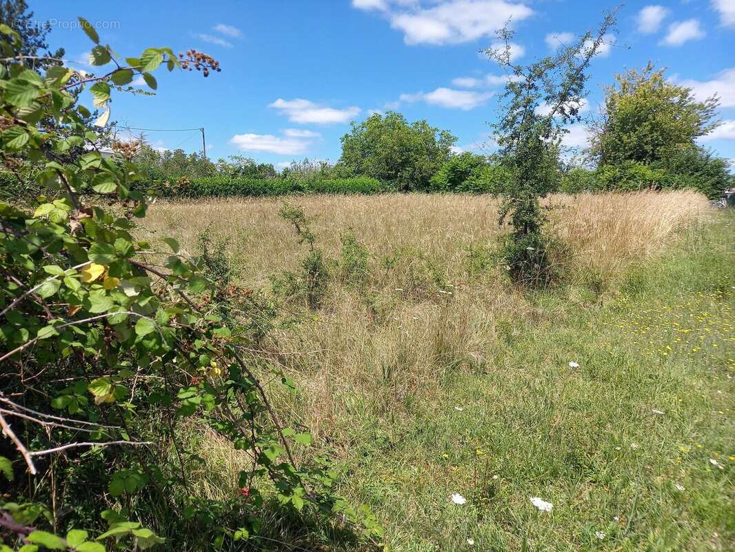 Terrain à CASTILLONNES