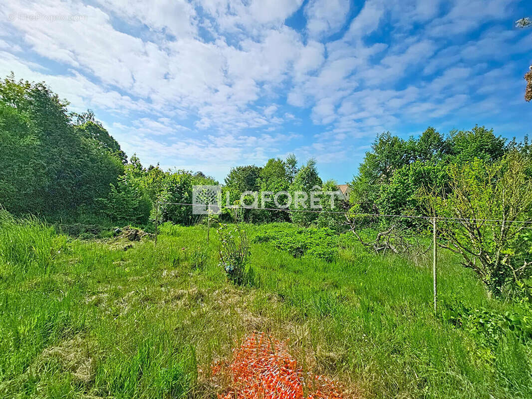 Terrain Marcoussis 590 m2 - photo 2