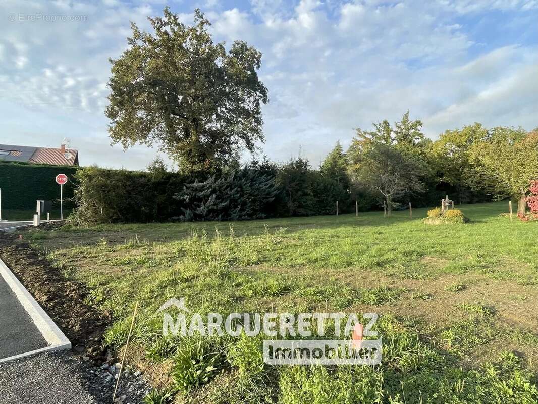 Terrain à CONTAMINE-SUR-ARVE