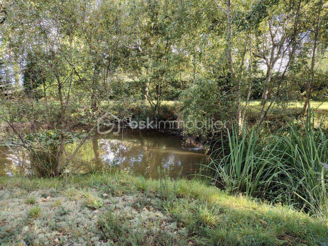 Maison à SAINT-LYPHARD
