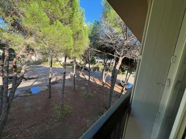 Appartement à ARGELES-SUR-MER