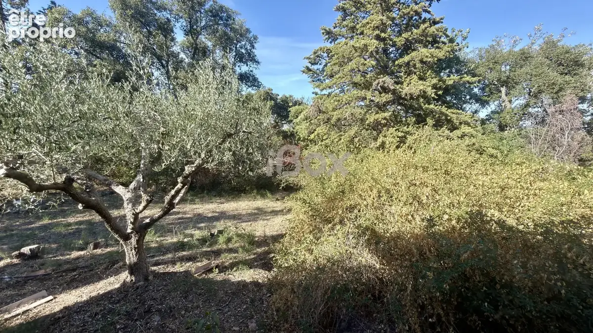 GONFARON- Maison sur un terrain de 16 000m2, nombreuses dépendances - photo 17