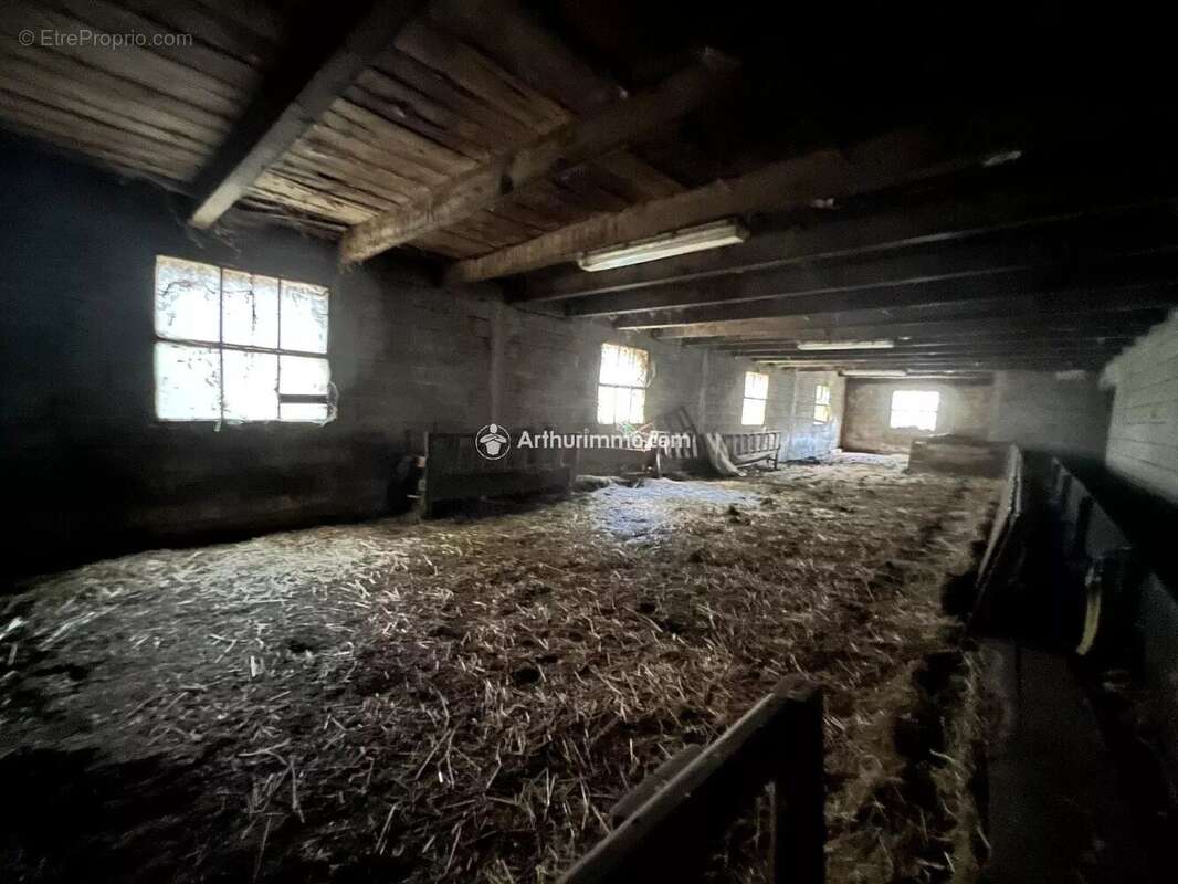 Terrain à SAINT-JEAN-DU-BRUEL