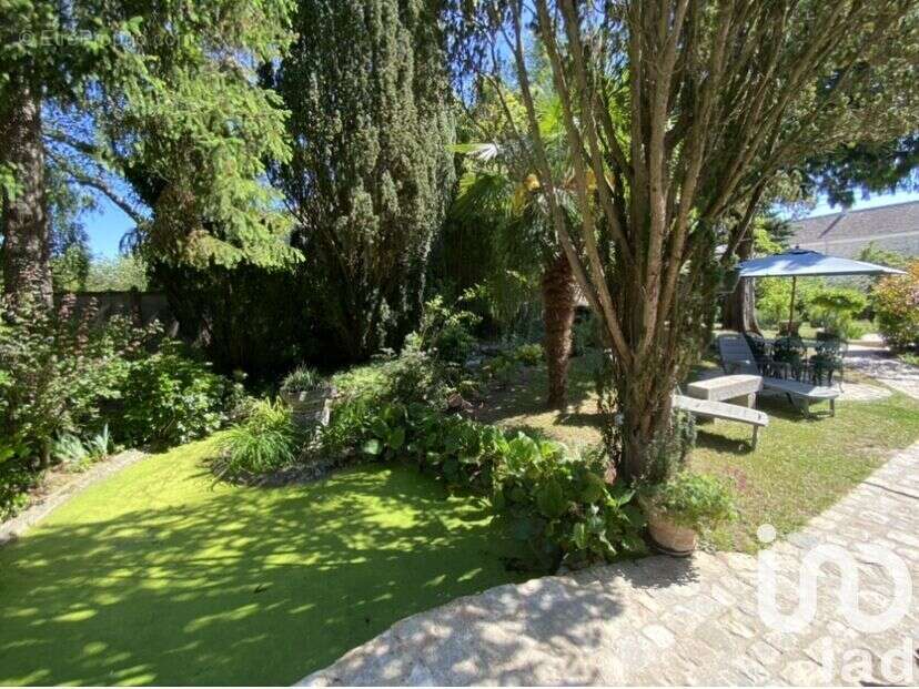 Photo 4 - Maison à ACHERES-LA-FORET