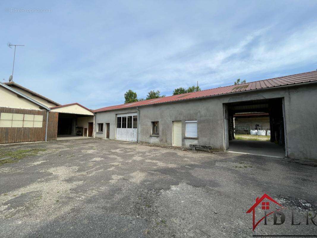 Commerce à LANEUVELLE