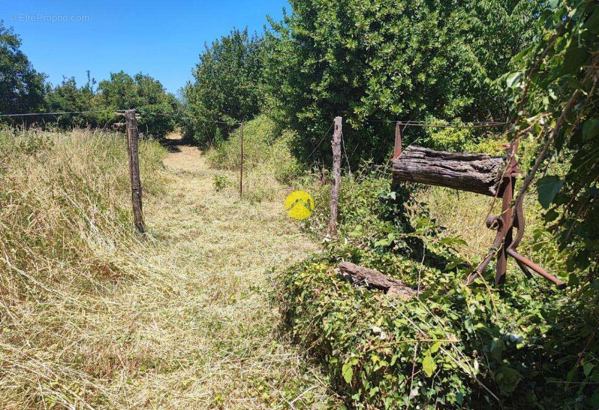 71m², proches de tous commerces - photo 11