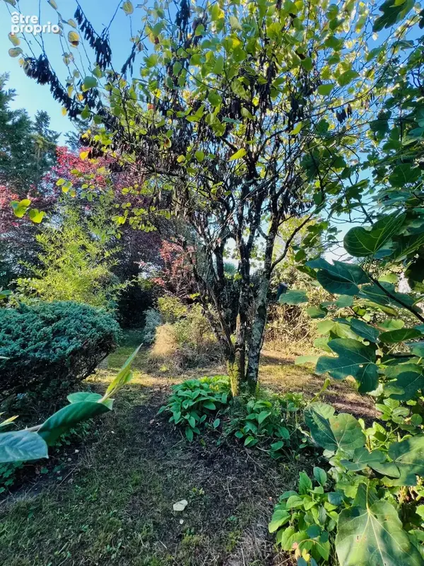Maison T3 - 80,54 m2 - Grand jardin - photo 10