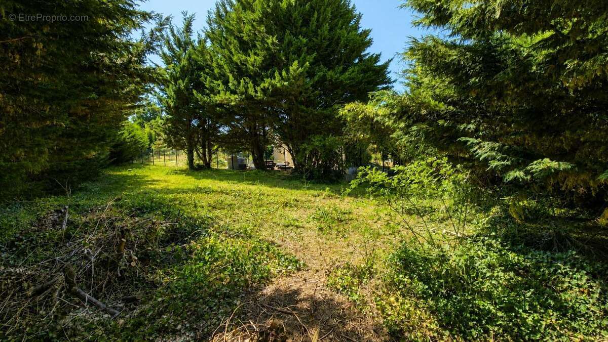 Terrain Chambourcy 585m2 - photo 2