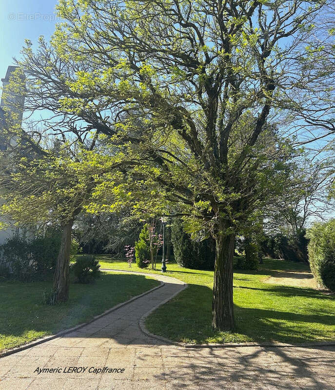 Belle demeure de 8 piéces à Pommerieux (53) proche de Craon - photo 9