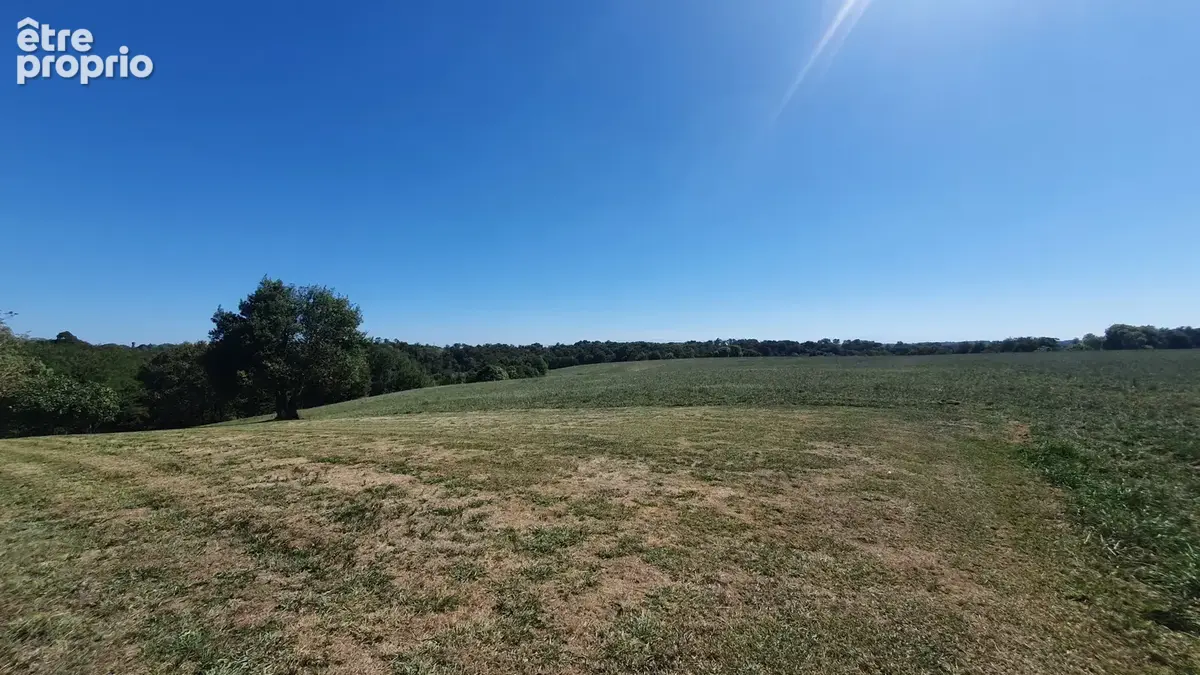 Maison de Caractère de 306 m2 Hab, proche de Hagetmau - photo 5