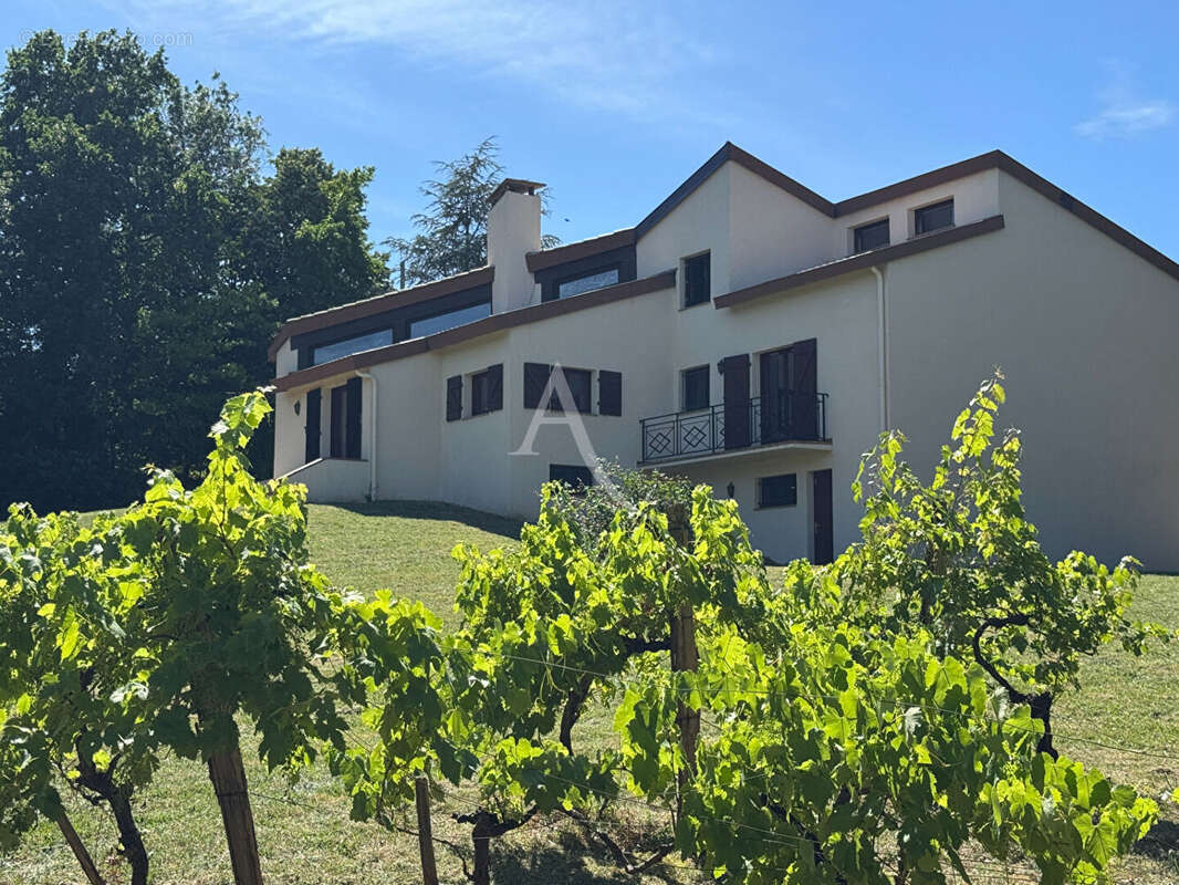 Maison à L'ISLE-JOURDAIN