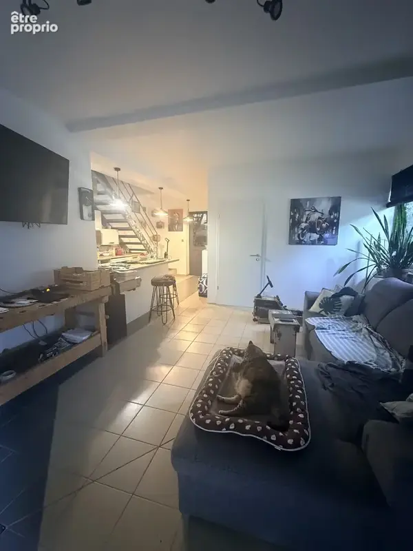 Maison 6 pièces 280 m² à vendre à Bennwihr (68630) - photo 5