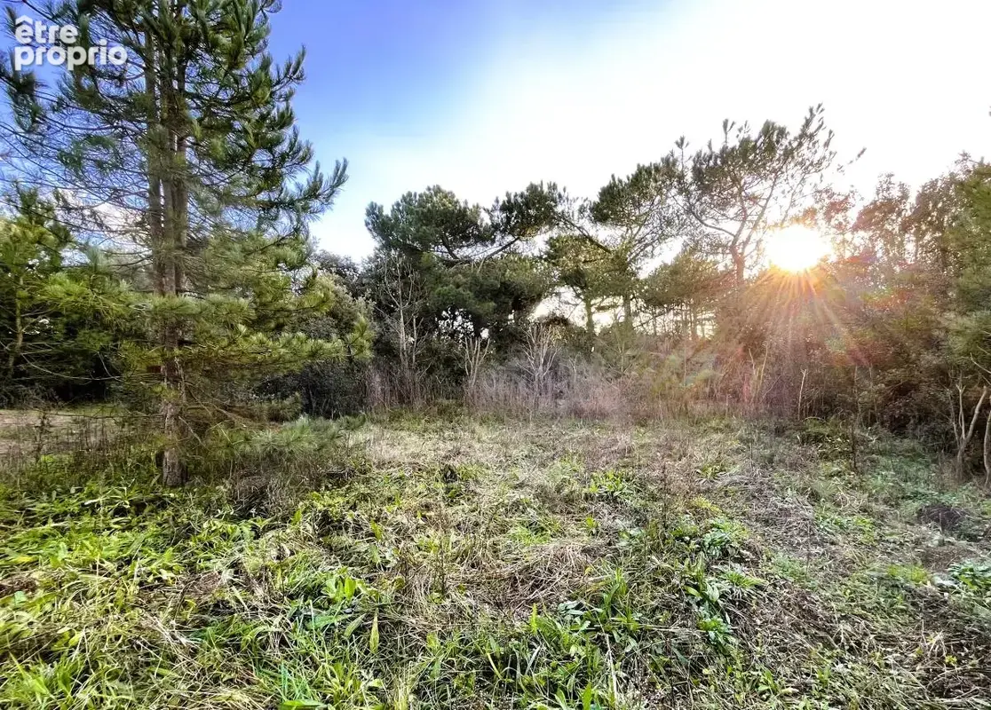 Terrain 967 m² à Saint-Michel-Chef-Chef  - photo 3