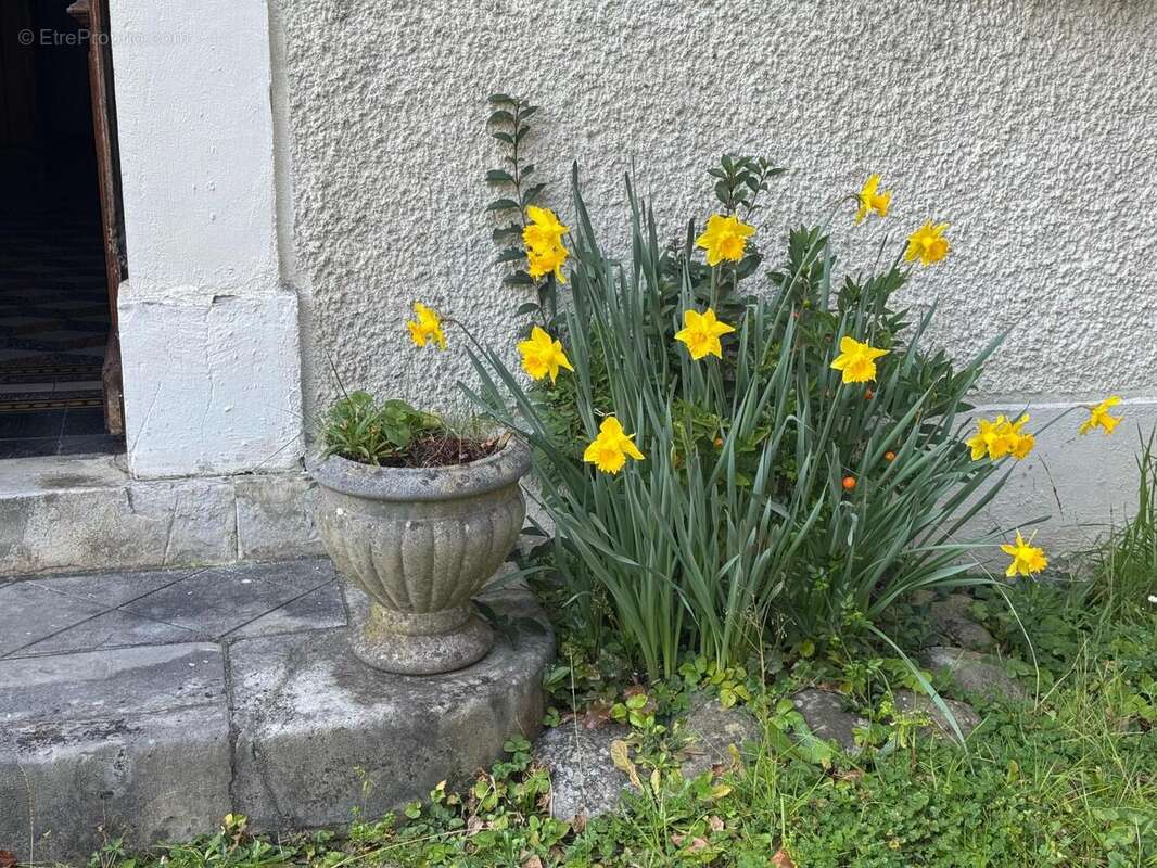 Photo 3 - Maison à BIDOS