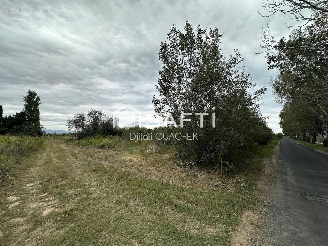 Photo 1 - Terrain à SAINT-HIPPOLYTE