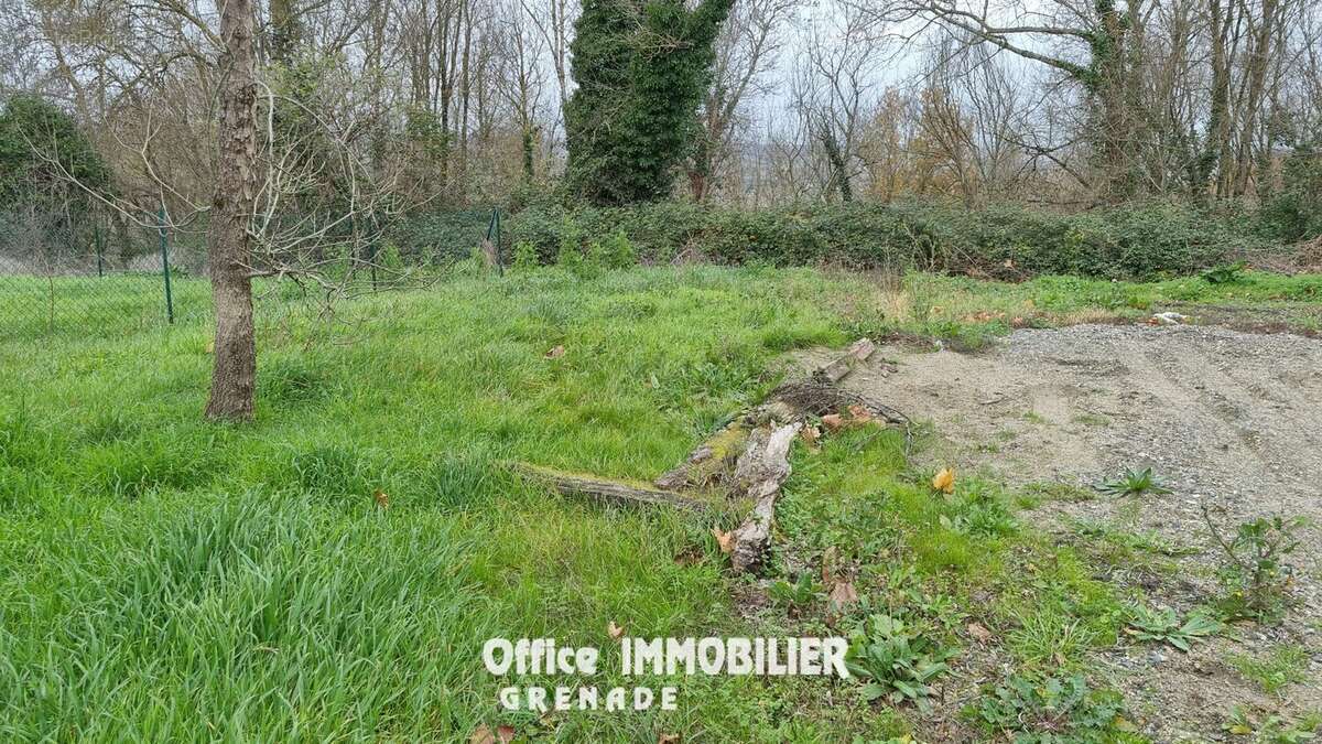 Commerce à PELLEPORT