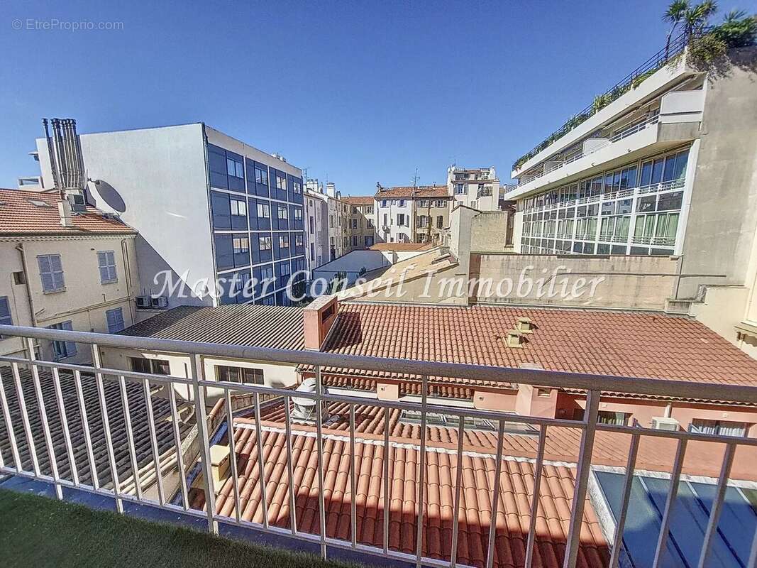 Cannes banane - photo 9