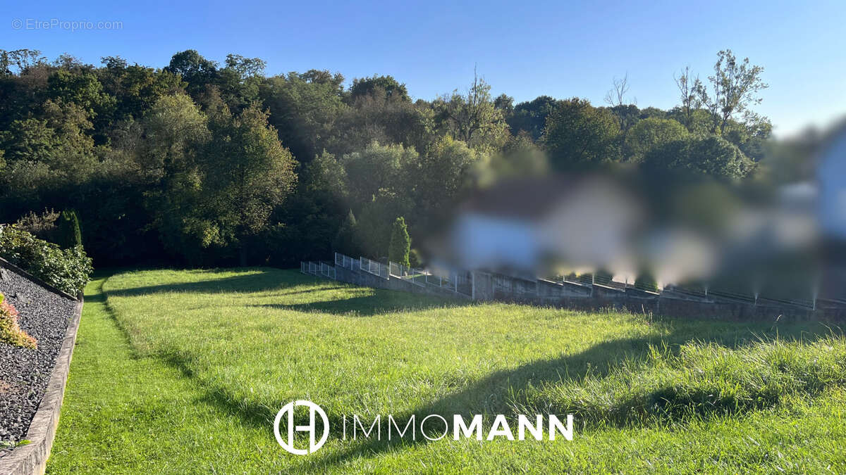 Terrain à OBERDORF-SPACHBACH