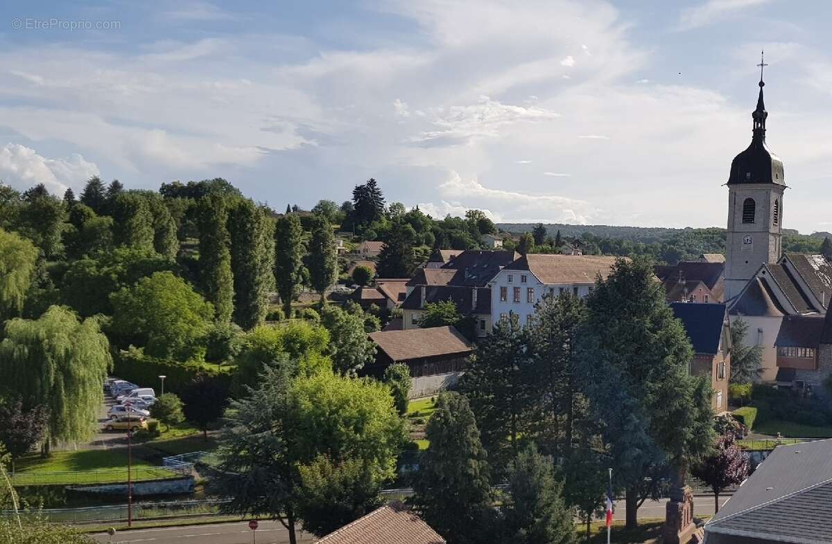 Appartement à DELLE