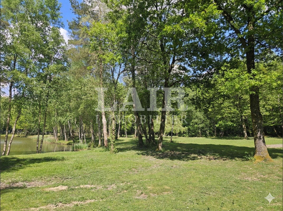 Terrain à SAINT-LEONARD-DES-BOIS