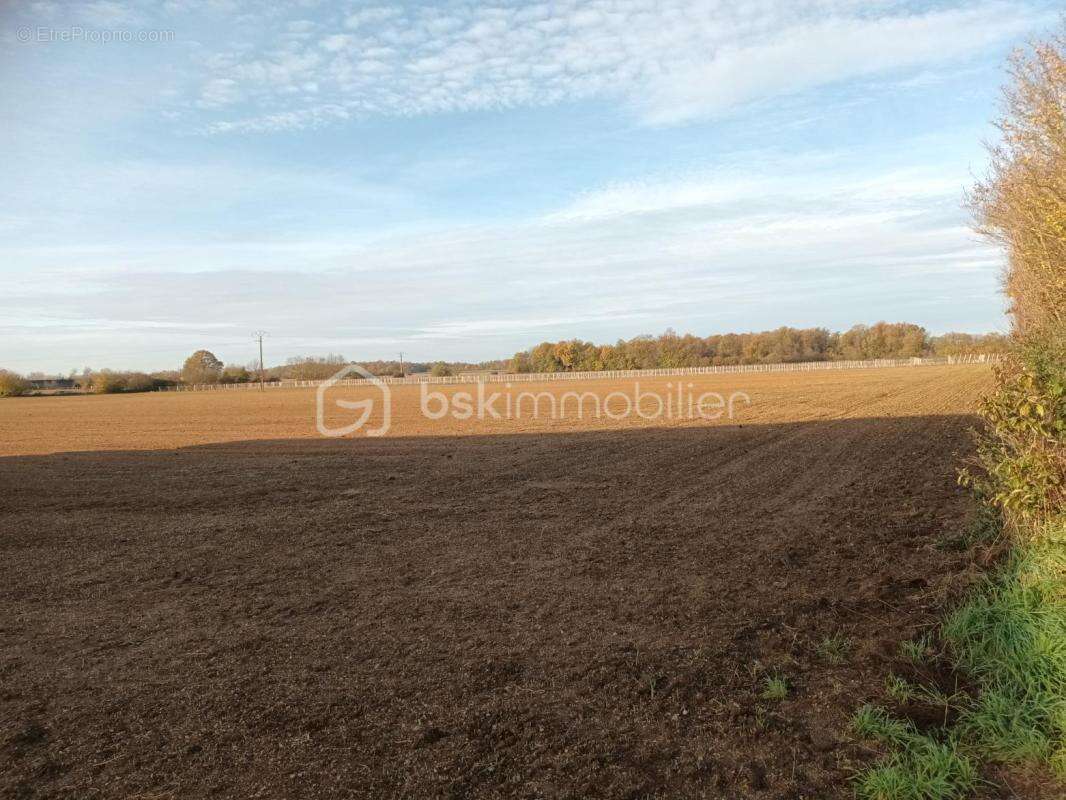  terrain d’activité – 9 653 m² – zone aux – thors (17) - photo 7