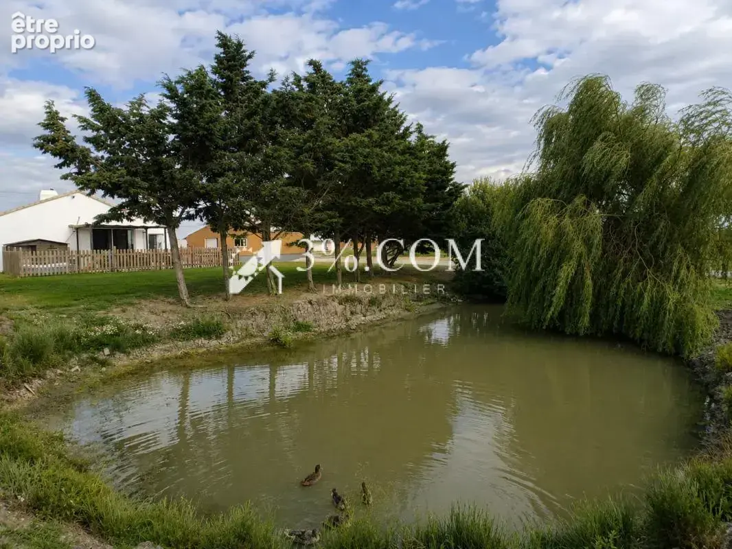Maison de 130 m2 avec étang sur plus de 4 000 m2 de terrain - photo 11