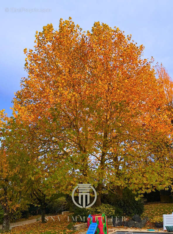 Maison à SAINT-DIZIER