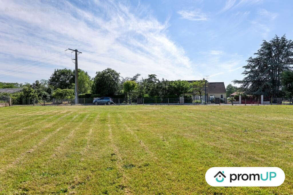 Terrain à MONCE-EN-BELIN