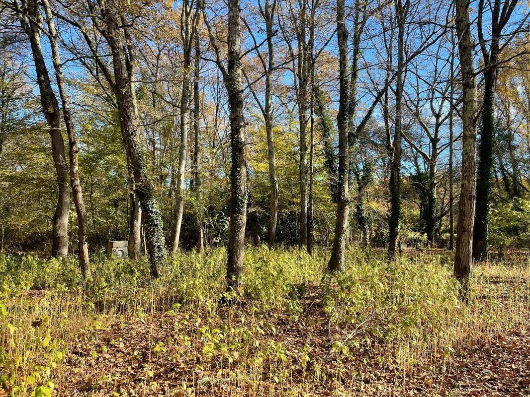 Terrain à SAINT-SELVE