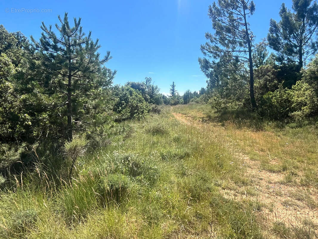 Terrain à CLANSAYES