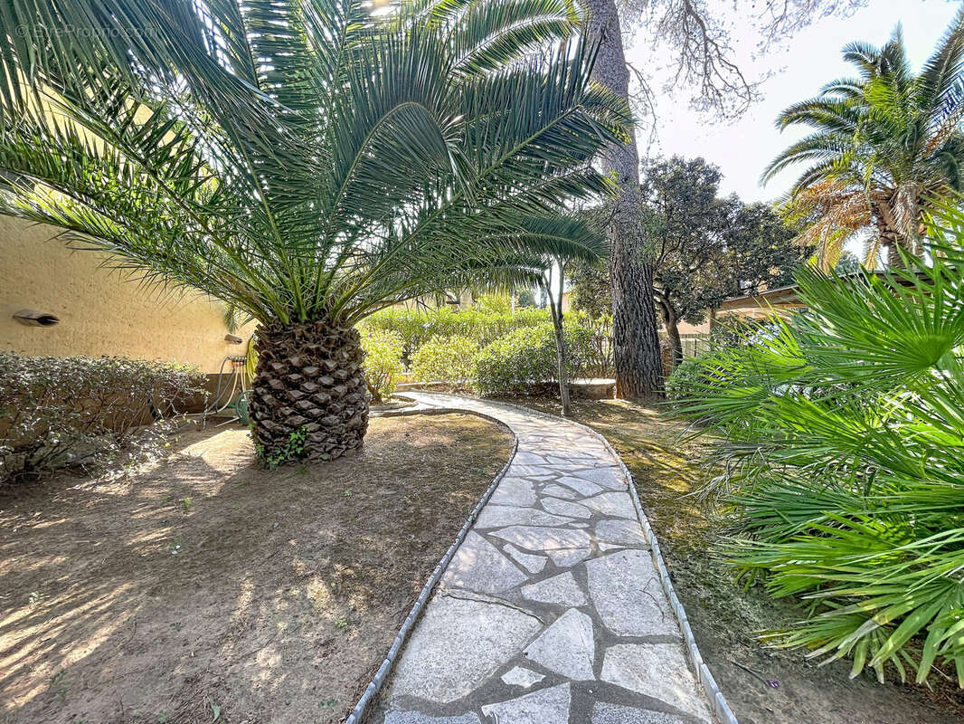 Maison à SAINT-RAPHAEL