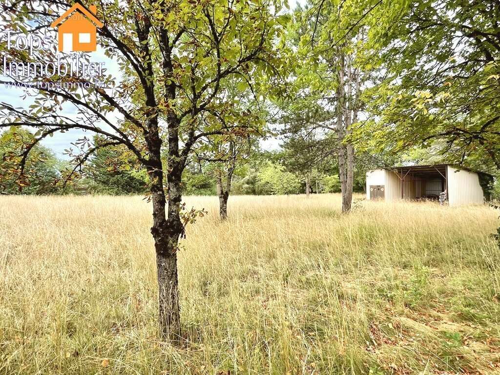 Maison T3 avec garage attenant, hangar et terrain de 4617m2 à la campagne - photo 4