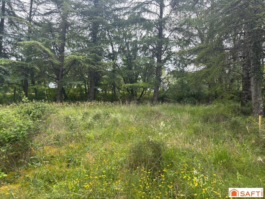 Photo 1 - Terrain à CAHORS