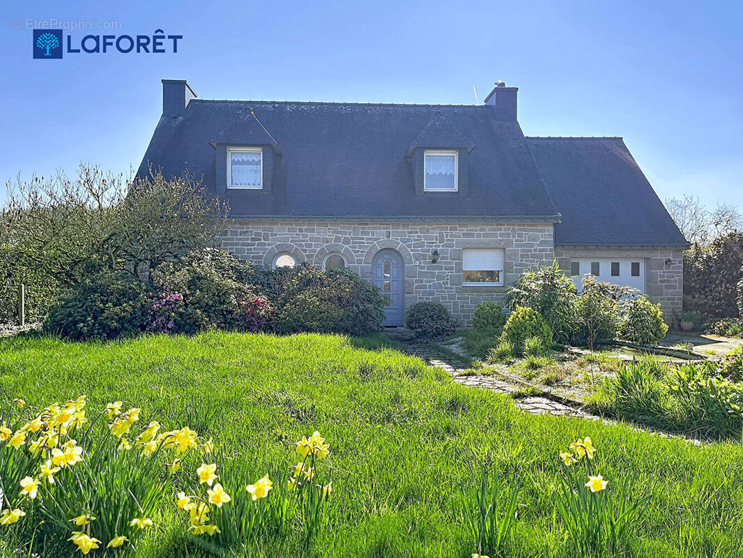Maison à SAINT-THURIAU