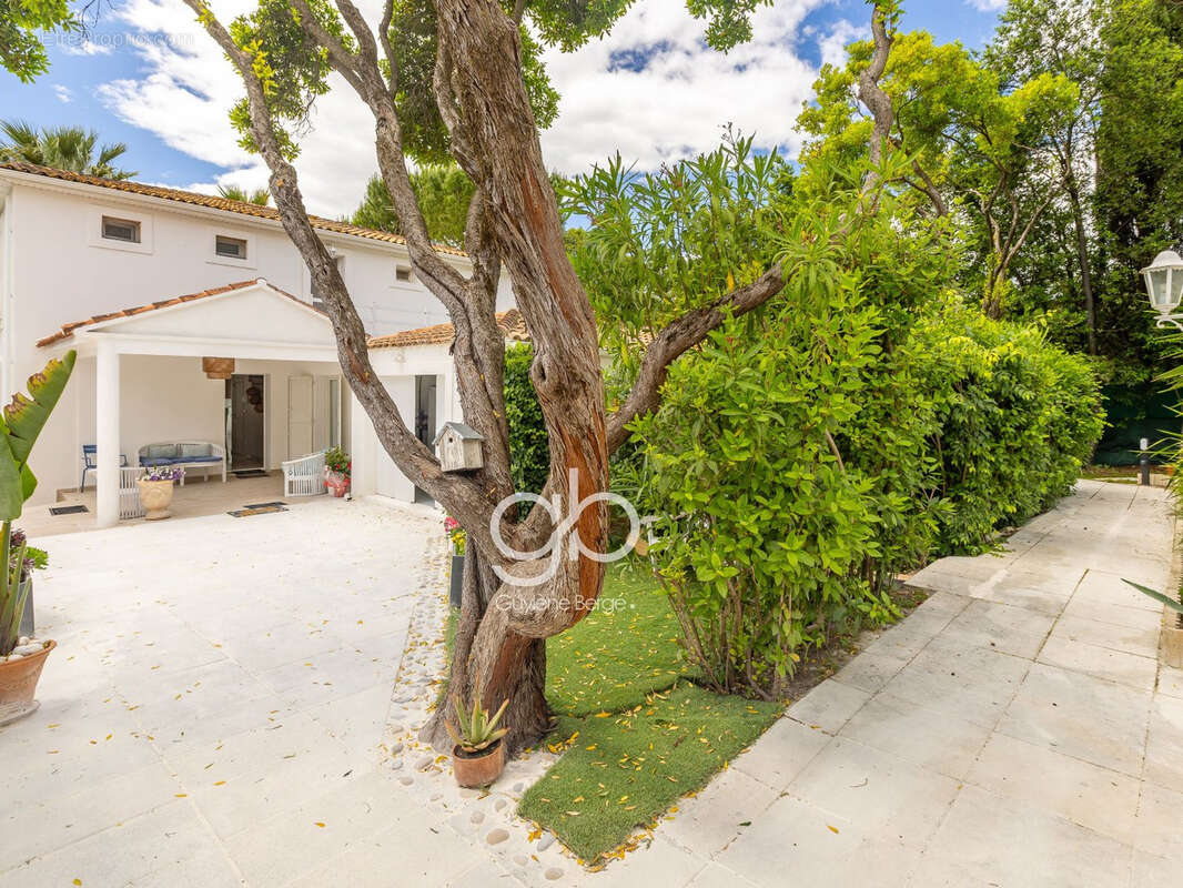 Maison à MONTPELLIER