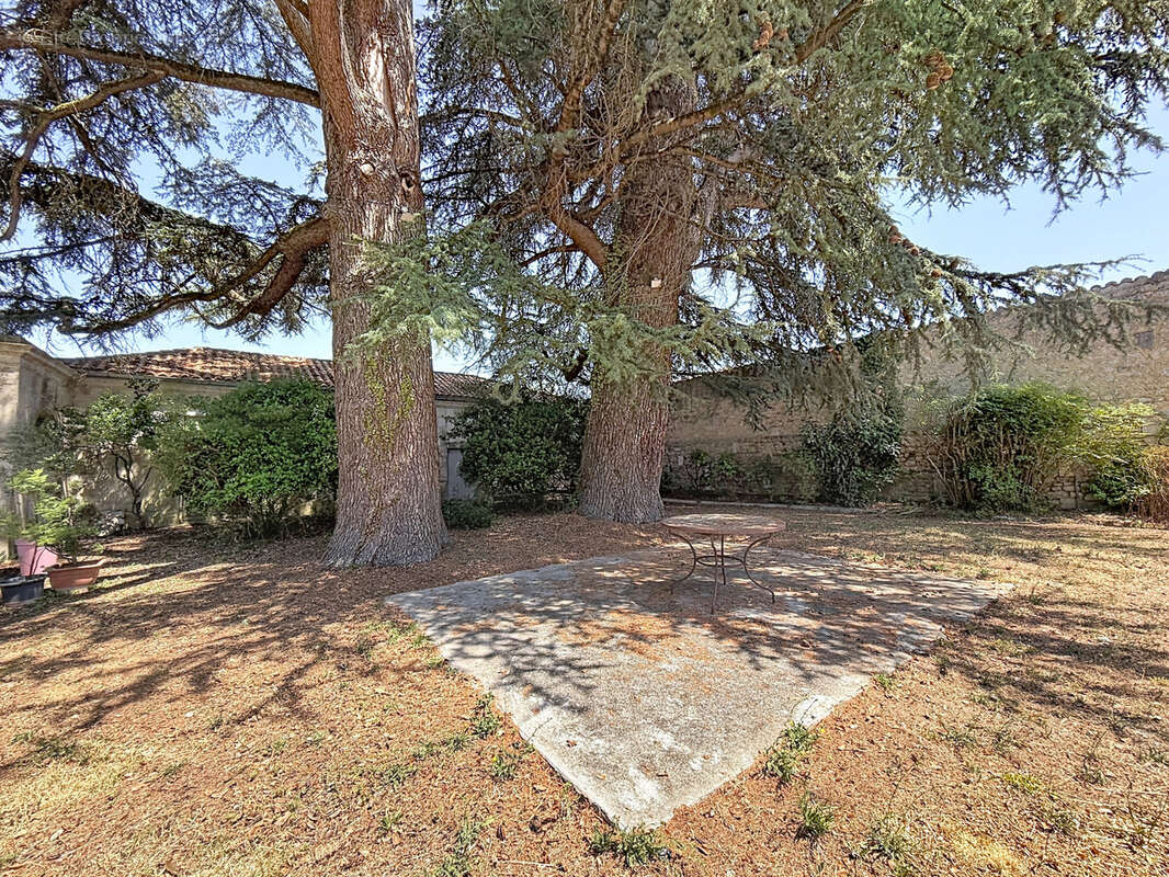 AUX PORTES D'ANGOULEME   Appartement de caractère dans un ancien logis, au cœur d'un parc en bord de rivière - photo 10