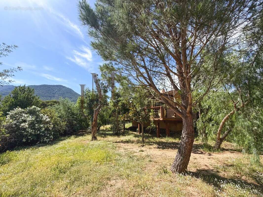 Villa T3 - Terrains 1 500 m2 - Porto-Vecchio - photo 9