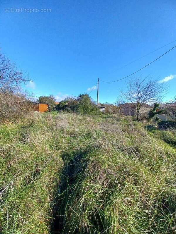 Photo 2 - Maison à GAILLAC