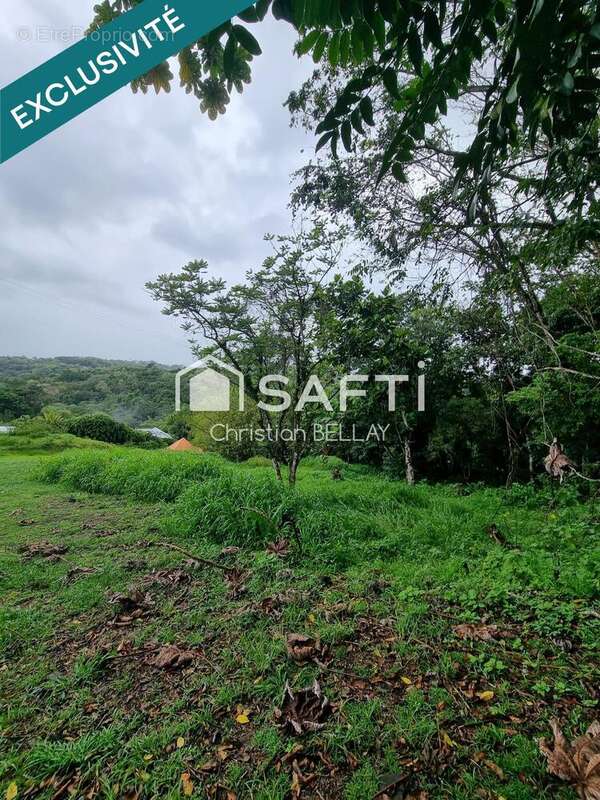 Photo 7 - Terrain à LE LAMENTIN