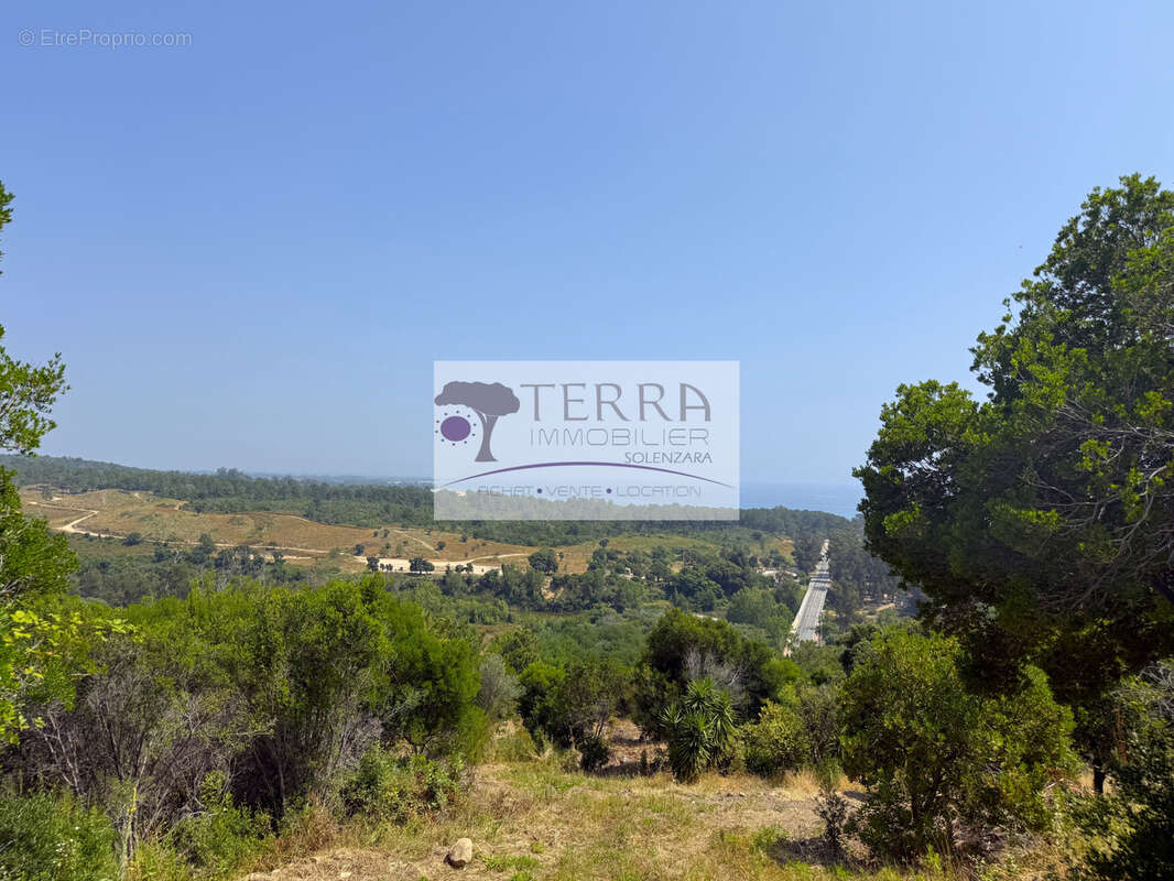 Terrain à SARI-SOLENZARA