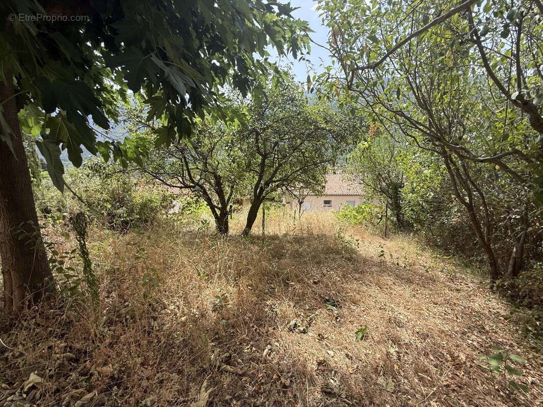 Maison à vendre à Arles-sur-Tech, proche du collège. - photo 32