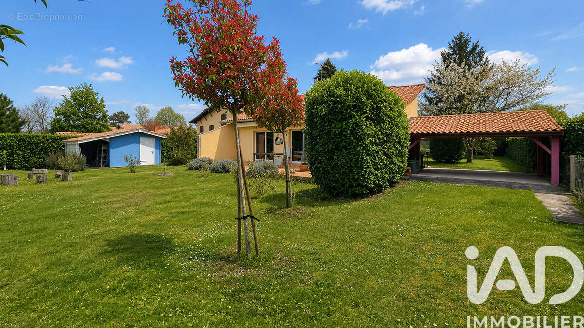 Photo 2 - Maison à PESSAC